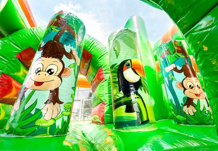 Multiplay Safari - Afbeelding 2